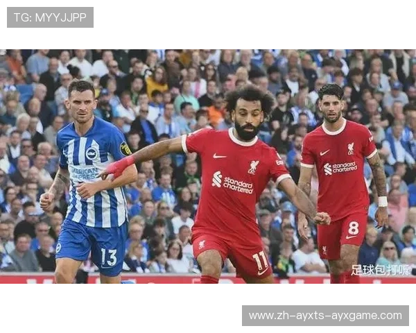 布莱顿足球俱乐部当前在英超的排名与赛季战绩